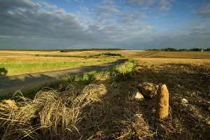 Maur: Fields of Battle - The Somme - Iron harvest