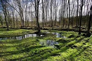 Bezonvaux: Fields of Battle - Verdun