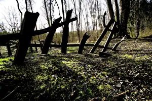 Bezonvaux: Fields of Battle - Verdun