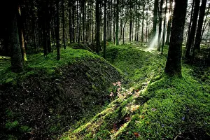 Retook: Fields of Battle - Verdun