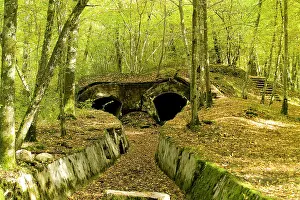 Schnelladekanone: Fields of Battle - Verdun