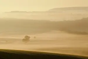 Chaumont: Fields of Battle - Verdun