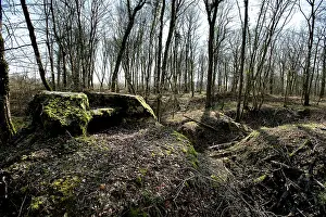 Malancourt: Fields of Battle - Verdun