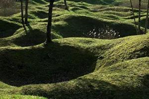 Ferocity: Fields of Battle - Verdun