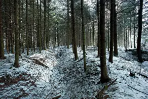 Contested: Fields of Battle - Vosges-St_Die