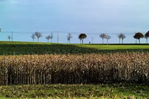 Emphasises: Fields of Battle - Ypres