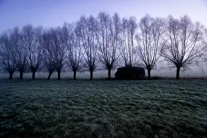 Zonnebeke: Fields of Battle - Ypres