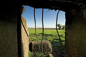 Dismayed: Fields of Battle - -Ypres