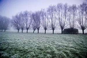Zonnebeke: Fields of Battle - Ypres