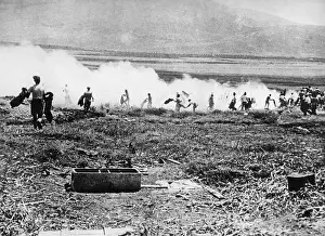 Politically: Fields burned during the Arab uprising in Palestine, 1936