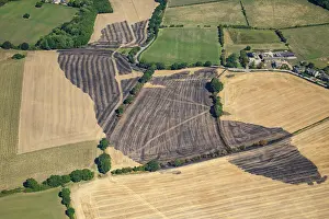 Scorched: Fields scorched by fire, Scholes, Rotherham