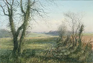 Mervyn: Fields, Woods and Hedgerows