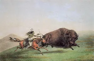 Merritt: Fierce Buffalo Hunter