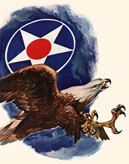 Icons: Fierce Eagle
