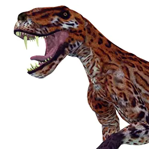 Permian: A fierce Lycaenops roaring