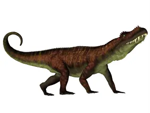 Archosauria: A fierce Prestosuchus dinosaur, side view