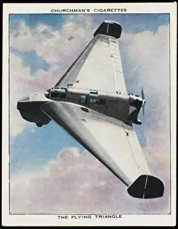 Practicable: FIESELER FLYING WING