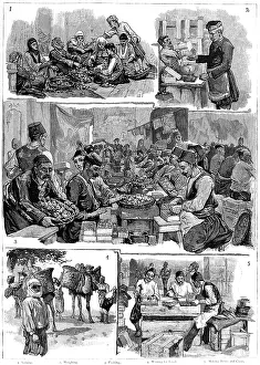 Fig Industry in Smyrna