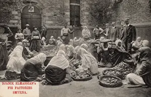 Figs: Fig sorting - Djanik Elmassian Fig Factory, Izmir, Turkey
