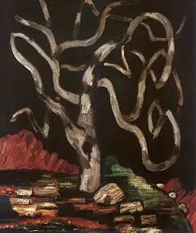 Marsden: Fig Tree Winter