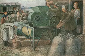 Sorting: The Fight for the Harvest: Sorting of Seeds in