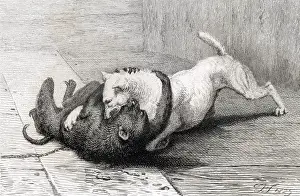 Thos: Fight between Jacko Maccacco and Puss - monkey-baiting