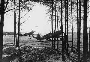 Airbase: Fighter planes near the forest, 1939