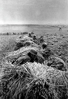 Habedank: Fighting on the Eastern Front, 1941