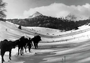 Abruzzi: Fighting in Italy, 1944