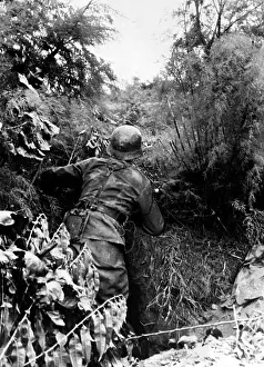 Dohm: Fighting in Italy, 1944