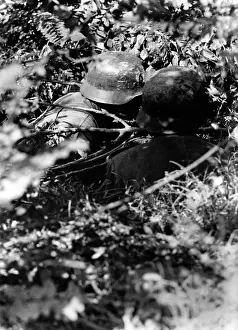 Dohm: Fighting in Italy, 1944