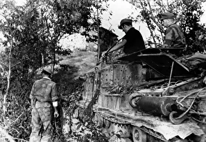 Splinter: Fighting in Italy, 1944