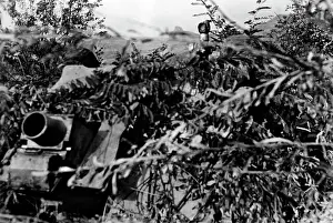 Winkler: Fighting in Italy, 1944