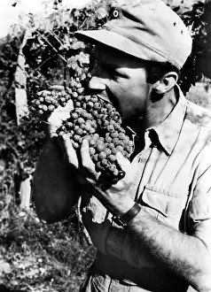 Rations: Fighting in Italy, 1944