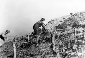 Protects: Fighting in Italy, 1945