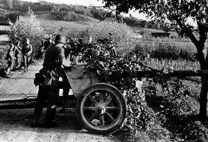 Partisan: Fighting partisans in occupied Yugoslavia, 1943