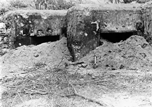 Bunkers: Fighting along the Stalin Line, 1941