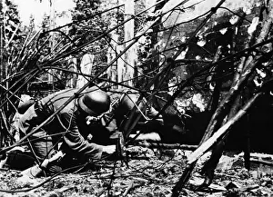 Trautvetter: Fighting along the Stalin Line, 1941