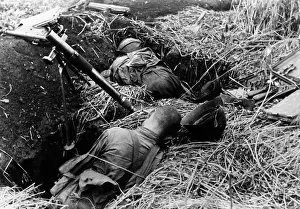 Launcher: Fighting along the Stalin Line, 1941