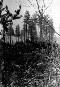 Blockade: Fights for Leningrad, 1942
