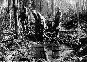 Frontline: Fights on the Volkhov, 1942