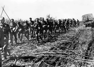 Frontline: Fights on the Volkhov Front, 1942