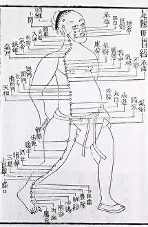 Acupuncture: Figure with acupuncture points and meridian ?