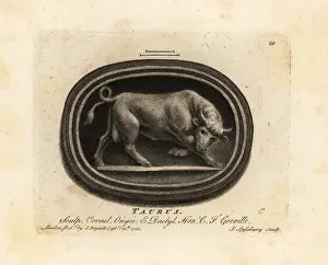 Carnelian: Figure of a charging bull. Taurus