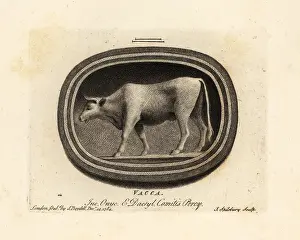 John Spilsbury: Figure of a cow