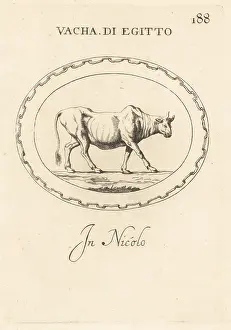 Apis: Figure of an Egyptian cow