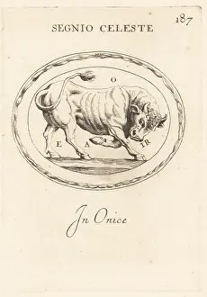 Onice: Figure of Taurus as a charging bull