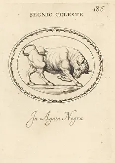 Black Agate: Figure of Taurus as a charging bull