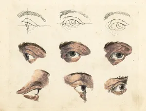 Lashes: Figures of eyes and brows from a painting by old master