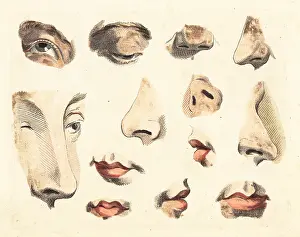 Robert Sayer: Figures of noses, eyes, mouths and lips